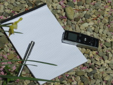 Wir erstellen Textinhalte in Eigenregie.